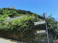 -太平山顶