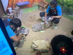 -华夏文旅海洋公园