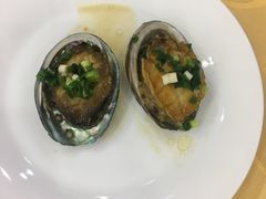 鲍鱼-海岛渔村大酒店(云霄路店)