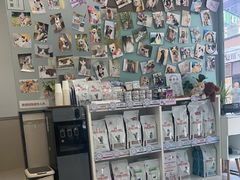 -爱妮康宠物医院·干细胞免疫细胞·肿瘤·心脏(张江店)