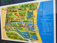 -日照海滨国家森林公园