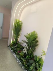 -MUSES专业脱毛比基尼サロン日式连锁