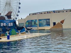 -秦皇岛乐岛海洋王国