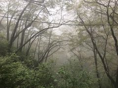 -塔云山