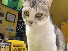 -谜盒子奇幻密室(南屏店)