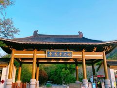 -金龙寺国家森林公园
