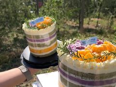 -宏发园动物奶油生日蛋糕(先锋路店)