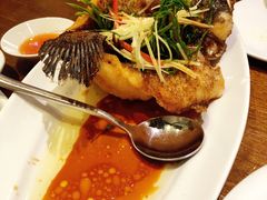 -熠盛粤味·顺德桑拿鸡(永康路店)