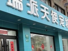 -瑞派天使宠物医院·神经外科·骨科·核磁CT(洛川中路店)