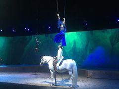 -cavalia·舞马