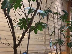 -一轩饺子馆(丽都店)