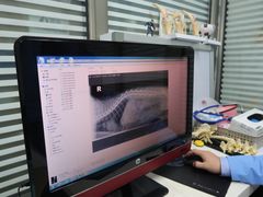 -北京派仕佳德动物医院·超导核磁·CT·神经科·骨科·内外科·急重症管理中心