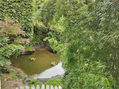 -福建鲤鱼洲酒店