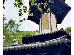 -上海佘山国家森林公园天马山园