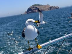 -海驴岛(荣成市)