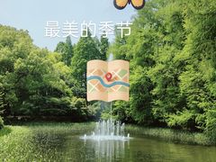 -上海共青森林公园