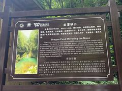 -龙水峡地缝景区