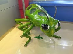 -上海昆虫博物馆