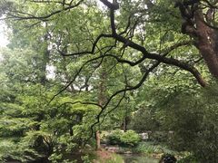 -杭州植物园
