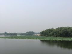 -大兴滨河森林公园