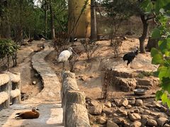 -临沂动植物园
