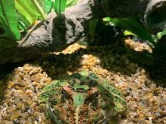 -暹罗海洋世界