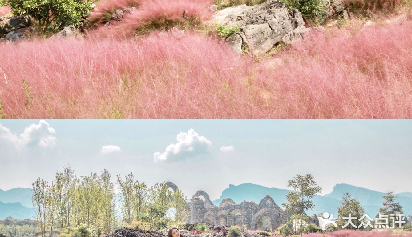 粉黛成海🔥重庆周边又有新秘境👉🏻叠石花谷