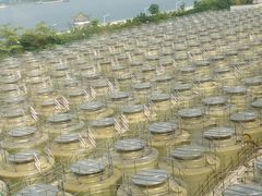 -厨邦酱油文化博览馆