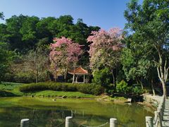 -火炉山森林公园