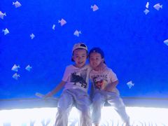 -沈阳海洋探索中心