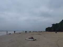 -贝壳沙滩