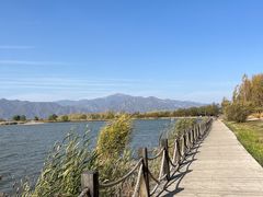 -野鸭湖国家湿地公园