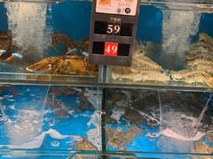 -苏大嘴海鲜牧场(奥林匹克店)
