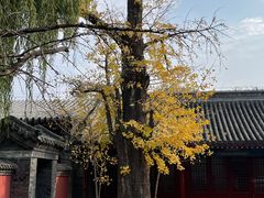 -承恩寺