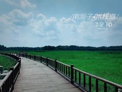 -南海子公园