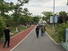 -上海长兴岛郊野公园