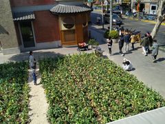 -Money Shops(愚园路店)