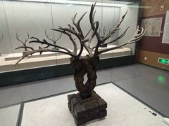 -荆州博物馆