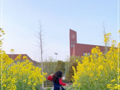 -上海德威外籍人员子女学校(浦西校区)