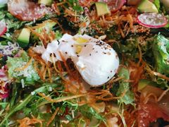 -the rug 飞毯 (朝阳公园店)