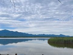 -野鸭湖国家湿地公园