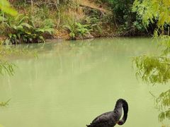 -广州白江湖森林公园