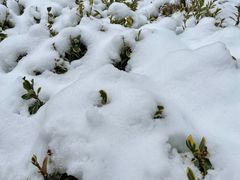 -山菜馆(竹海公园店)