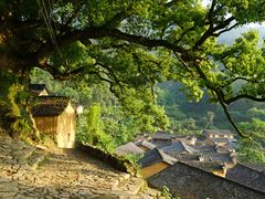 -杨家堂村