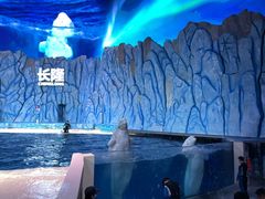 -珠海长隆海洋王国