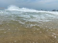 -西涌国际滨海旅游区