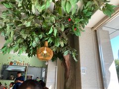-仙踪林(北展店)