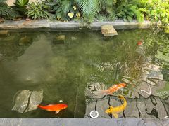 -漫笙舍Manse·咖啡·民宿