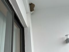 -苏州香山国际大酒店