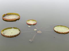 -陕西省西安植物园
